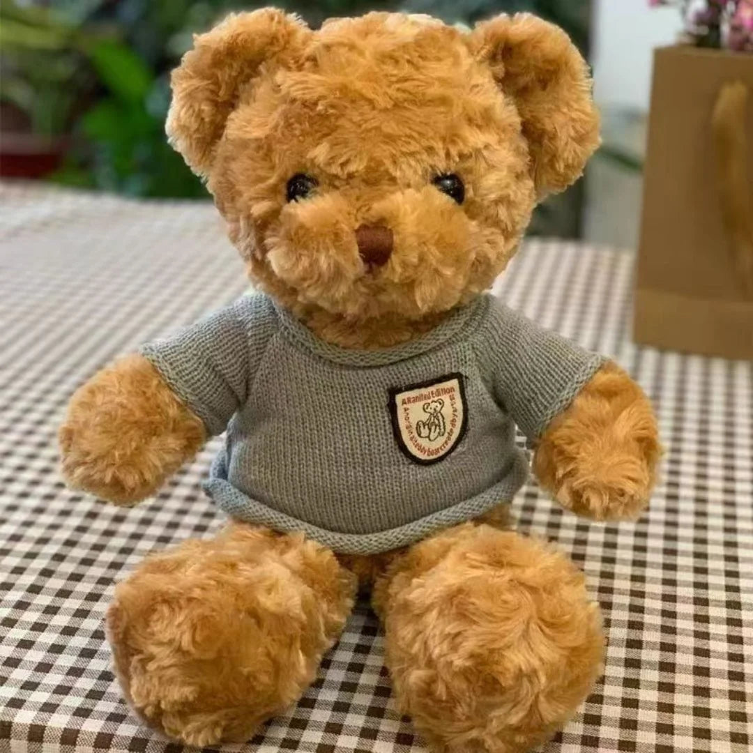 Ours en Peluche 30cm avec Pull - Cadeau Enfant Adorable