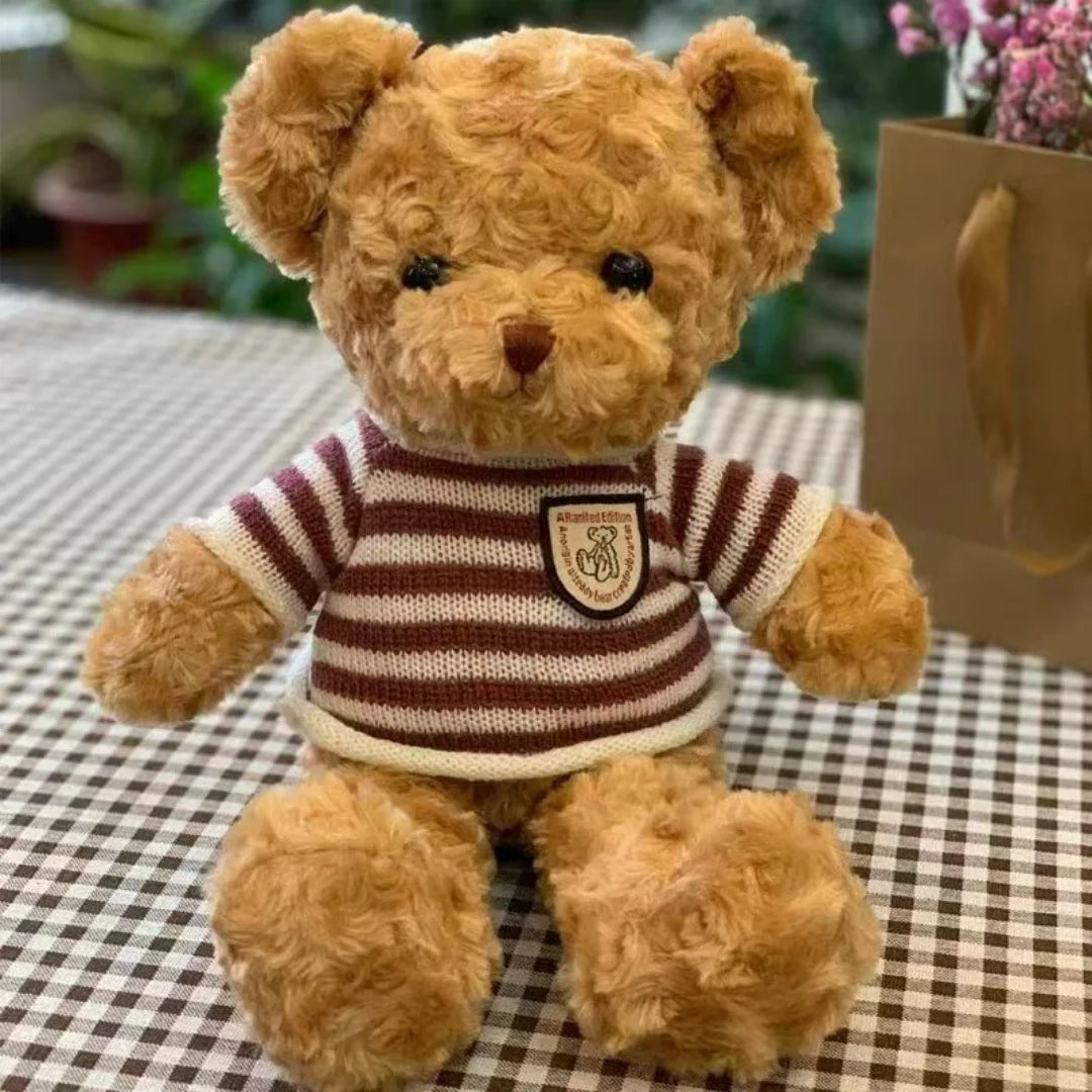Ours en Peluche 30cm avec Pull - Cadeau Enfant Adorable